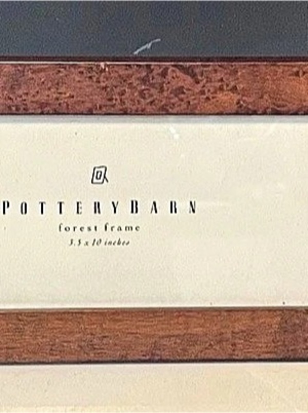 Pottery Barn Forest Frame 3.5 x 10 Inch Brown & White Wood Picture Frame